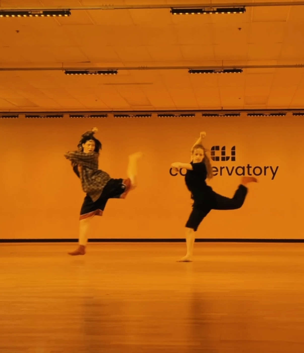 me and @Magen R. collab😈 #cliconservatory #dance #choreography