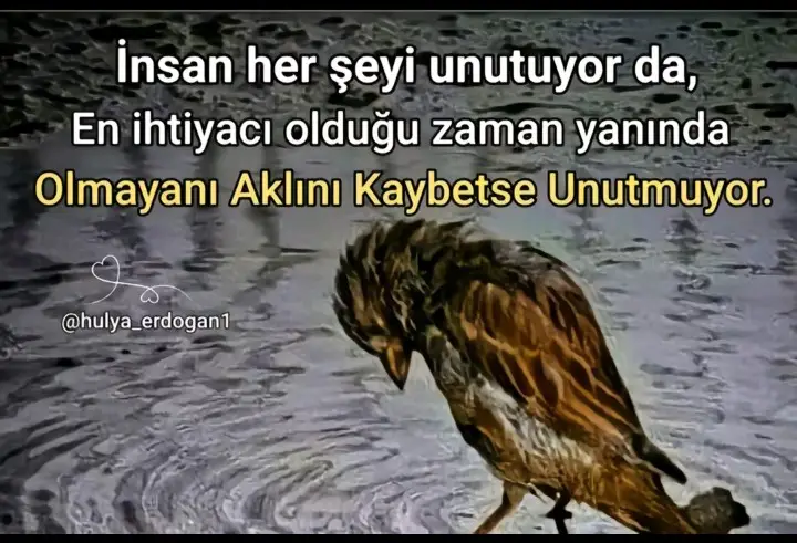 Kötü günümde yanımda olmayanı, Gözü görmeyip, kulağı duymayanı, Göz yaşlarıma sebep olanları, Gecelerce uykusuz bırakıp, rahat uyuyanları, Sevgiyi araç görüp, umursamayanları  Zor olsa da 