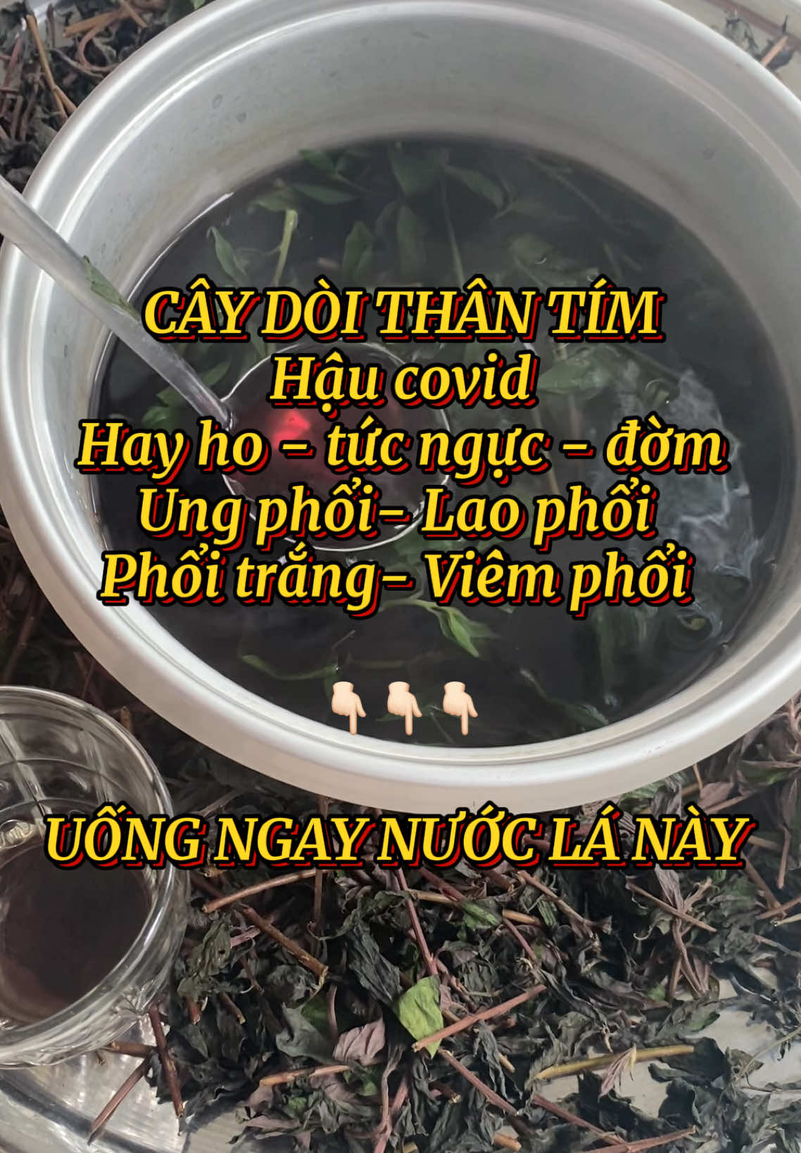 Thuốc dòi thân tím khô, #doitim, #caydoitim, #caydoithantim #caythuocnam #xuhuongtiktokkk 