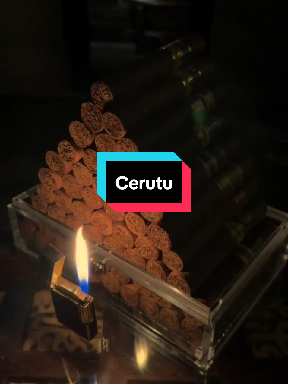 Cerutu Simbol Gaya atau Bahaya? #fyp #faktaunik #cerutu #cigar 
