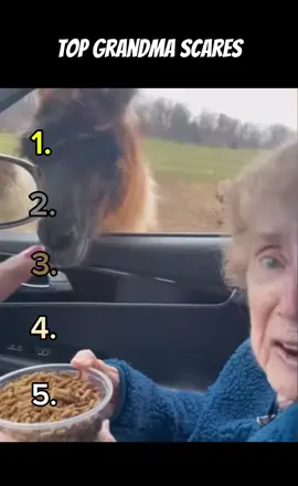 Hilarious grandma scares 😂 #fyp #ranking #funny #grandma 