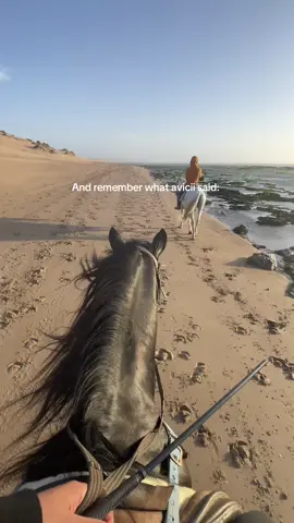 What avicii said #livealife #travel #inspirational 