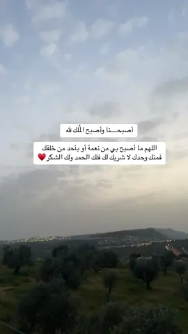 #صباح #ماهرالمعيقلي #قران_كريم #صباح_الخير #اكسبلور #يارب #امين 