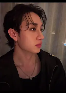 Chans side profile 🫠  #bangchan #chan #instagramlive #stay #스트레이 키즈  #parati #fyp 