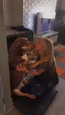 yes I let him lick my face 🤗he’s MY DOG cleaner than most of use folk anyway he’s just showing me his lovings for 10 seconds 🫶🏼❤️