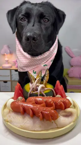 #labrador #cute #dog #pet #feed 