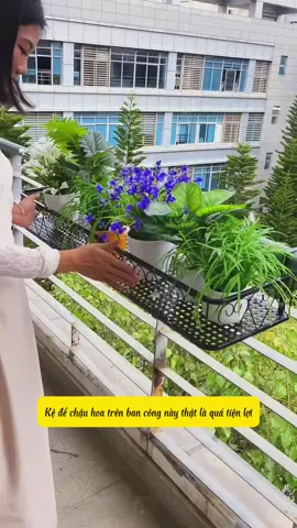 Kệ để chậu hoa trên ban công , tiết kiệm tối đa diện tích ban công nhà bạn #kedechauhoa #giadechauhoagaibancong #kedechauhoacaycanh 