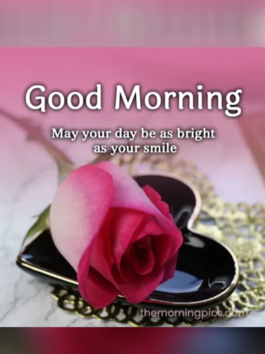 #Good Morning 💕💕💕#foryou #4you 💕💕💕#creatersearchingsight 💕💕💕