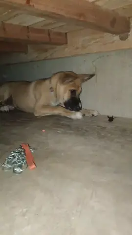 me amorè....
