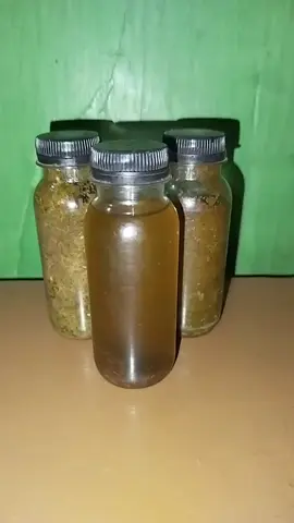 kalo Abang mau yang tahan lama pesan minyak sama daun bungku yang mau pesan langsung masuk wa #minyak herbal Papua #daun bungkus Papua fyppppppppppp