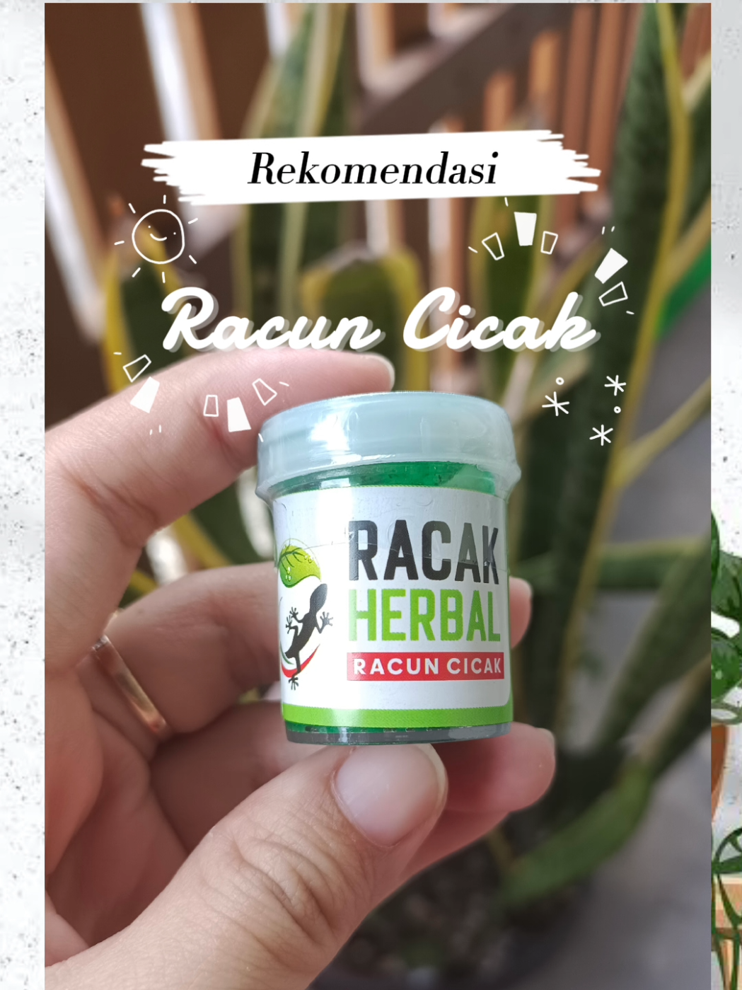 Racun cicak herbal - Racak herbal #racuncicak #racuncicakherbal #pembasmicicak #basmicicak #rumahbersih #CapCut 