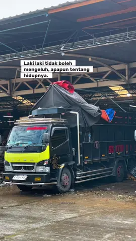 ##xyzbca #fyp #viral #beranda #buah #pepaya #pepayacalifornia #foryou #xzyabc #story #pasar 