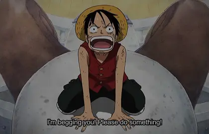 Luffy - 