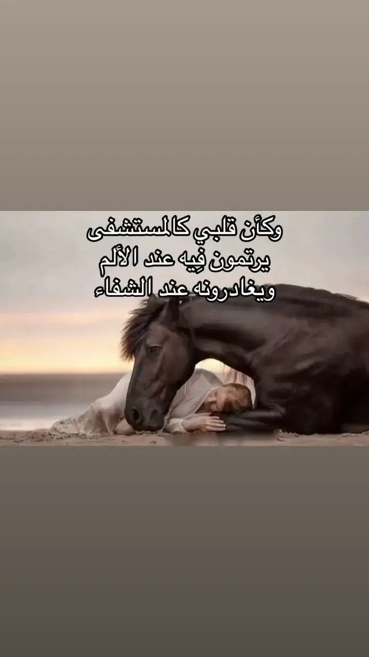 #🎵🎻🎻🎻🎵 #أفلاطون 