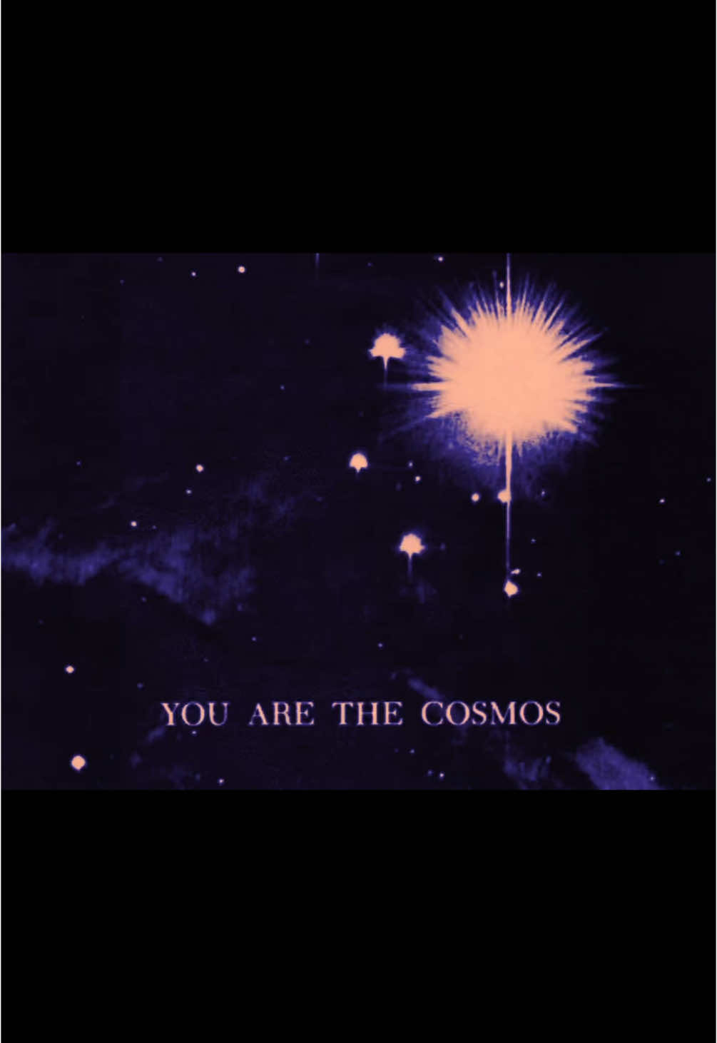 we are stardust #stars #stardust #starstuff #cosmos #cosmic #space #outerspace #galaxy #supernova #ascension #astralprojection #edit #fyp 