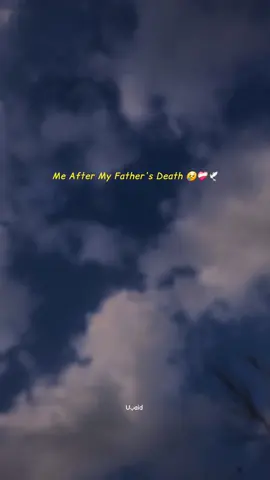 Miss You Papa 😢  #foryou #fouryoupage #fly 
