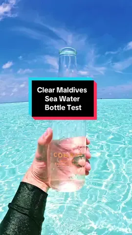 Have you ever seen water this clear? #tiktoktravel #maldives #travel #traveltiktok #watertest #bottlechallenge 