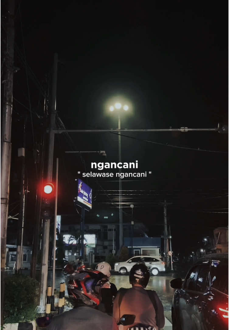 ☺️☺️☺️ #sinarengan #denycaknan #lagujawa #lirik #lirikvideo #wonogiri24jam #CapCut #fyp 