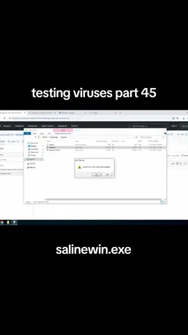 #salinewinexe #pc #virus #malware #fyp 