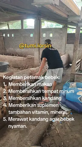edukasi peternak bebek petelur #ternak #bebek #ternakbebek #bebekpetelur #peternakmuda #ternakpemula #telurasin 