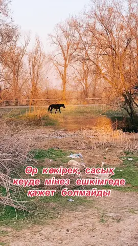 #рек #рекомендации 