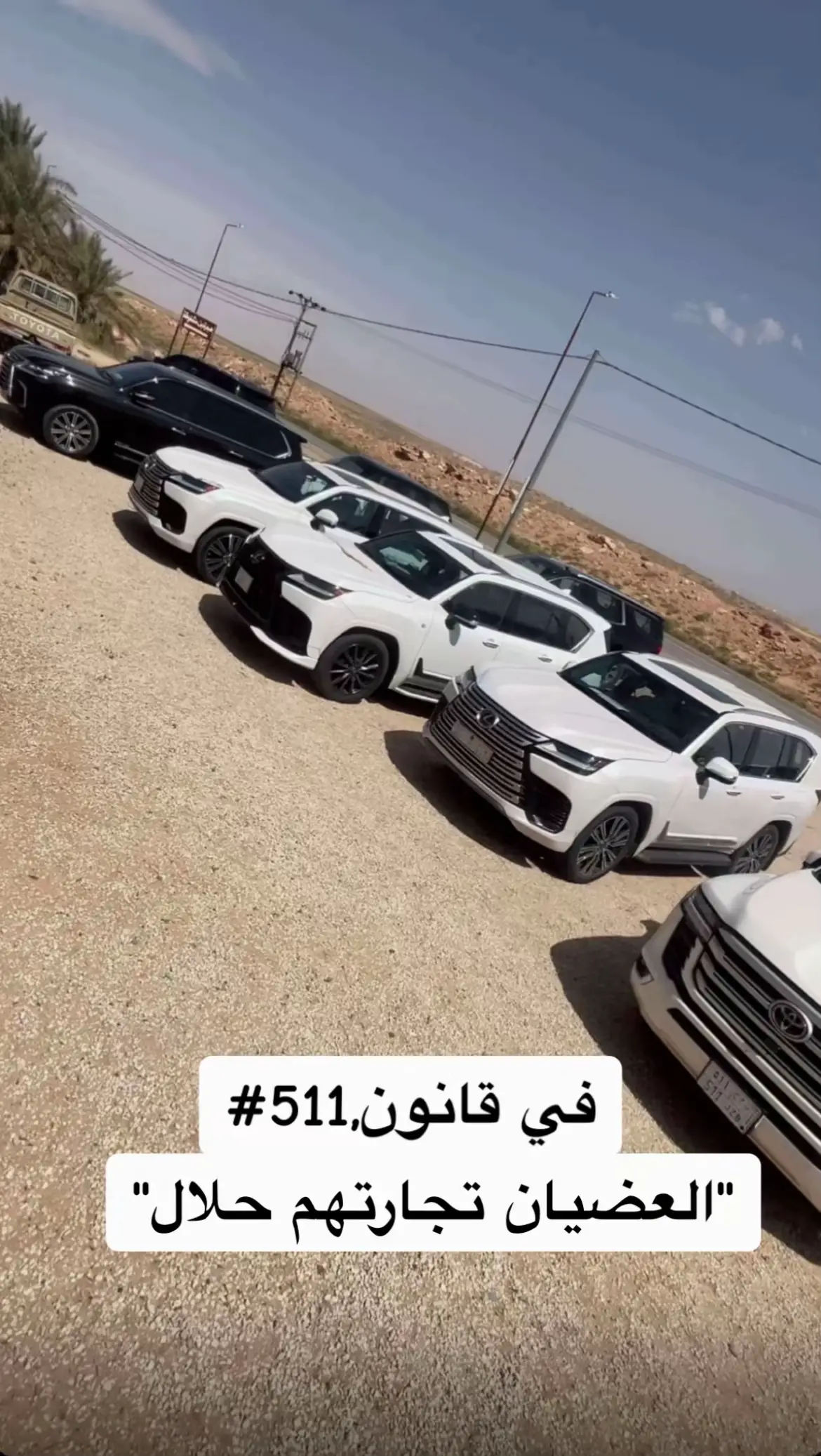 #ابن_مشنوطه #المشانيط #511 #