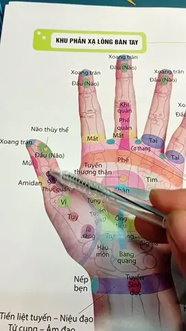 đau cổ vai gáy bấm huyệt nào thì bạn hãy tra tìm quyển sách bấm huyệt này rất hữu ích khi ở trong gia đình của bạn  #sachkhuphanxa #xuhuongtiktok2025 
