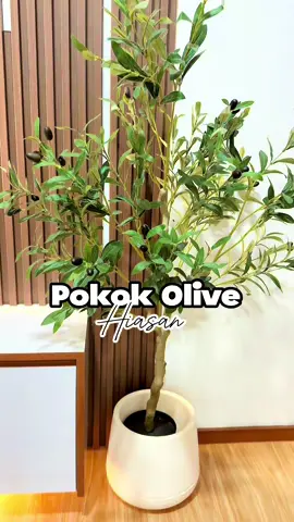 Haritu beli rm100lebih ni seller potong harga pergi la beli murah dooh dia bagi 😭 #pokokhiasan #olivetree #decorumah #hiasanrumah #fyp