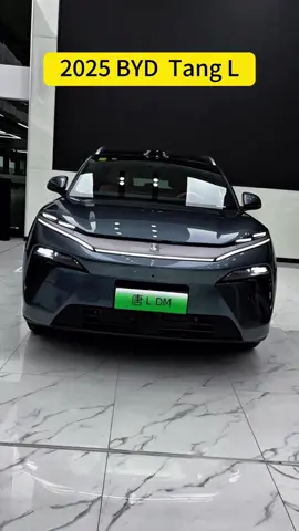 #byd #bydtang #carbusiness #cartiktok #importedcars #suv #chinesecar #electriccar 