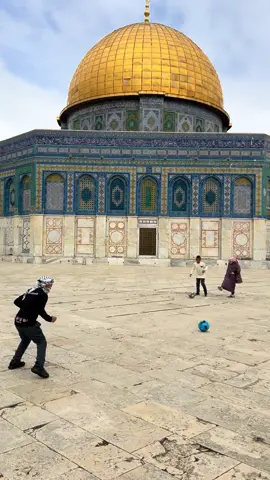 L’endroit le plus paisible 🤍 #alaqsa #alquds#palestine#peaceful 