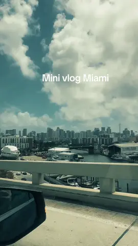 Mini vlog Miami 🌆 #Vlog #miamibeach #lincolnroad #paratii #fyp 