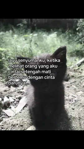 #masukberanda #fyp #quotes #galaubrutal #gamon 