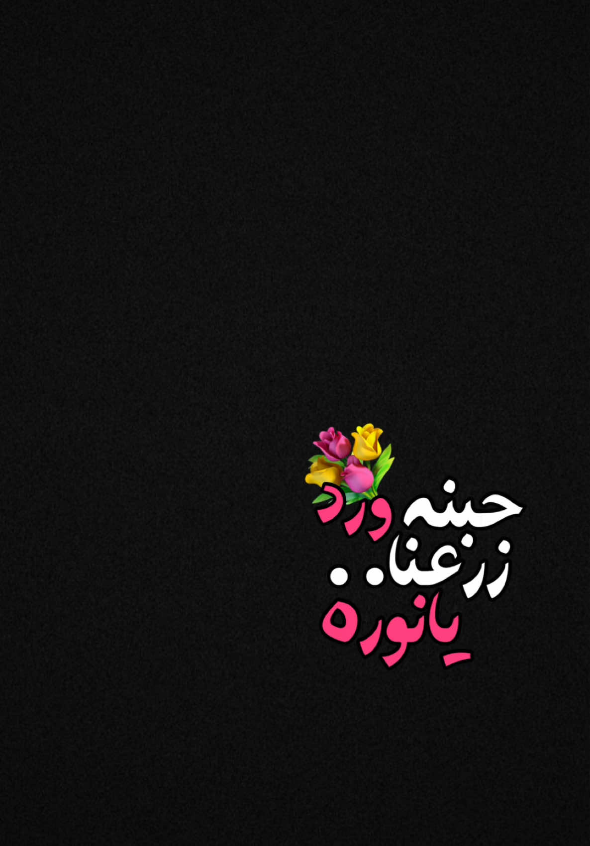#CapCut حبنه ورد زرعنا يانوره🌝💖؟ .. #foryou #tiktokviral #viralditiktok #كرومات_شاشة_سوداء #قوالب_كاب_كات_جاهزه_للتصميم #قالب_كاب_كات #ترند_جديد #ترنداوي🔥 #نوره #باسل_عزيز 