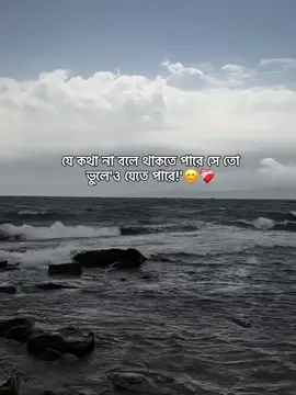 যে কথা না বলে থাকতে পারে সে তো ভুলে'ও যেতে পারে!'😊❤️‍🩹 #trendingvideo #fypシ゚viral🖤tiktok☆♡🦋myvideo #myvideo❤🌍tiktokforyou✌️💫🥀💯🌎🌎 #unfreezemyacountplz🙏 #viralvideo #mijan_bhaiyaa #fypシ゚viral🖤tiktok☆♡🦋myvideo @TikTok @TikTok Bangladesh @tiktok creators @For You 