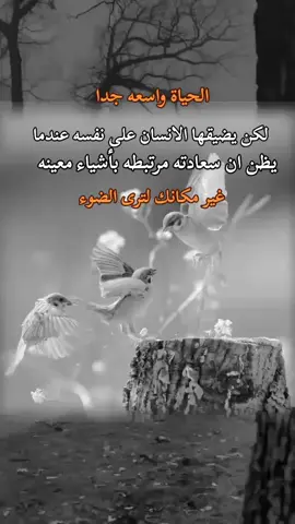 @خيبة كاتب 📖 