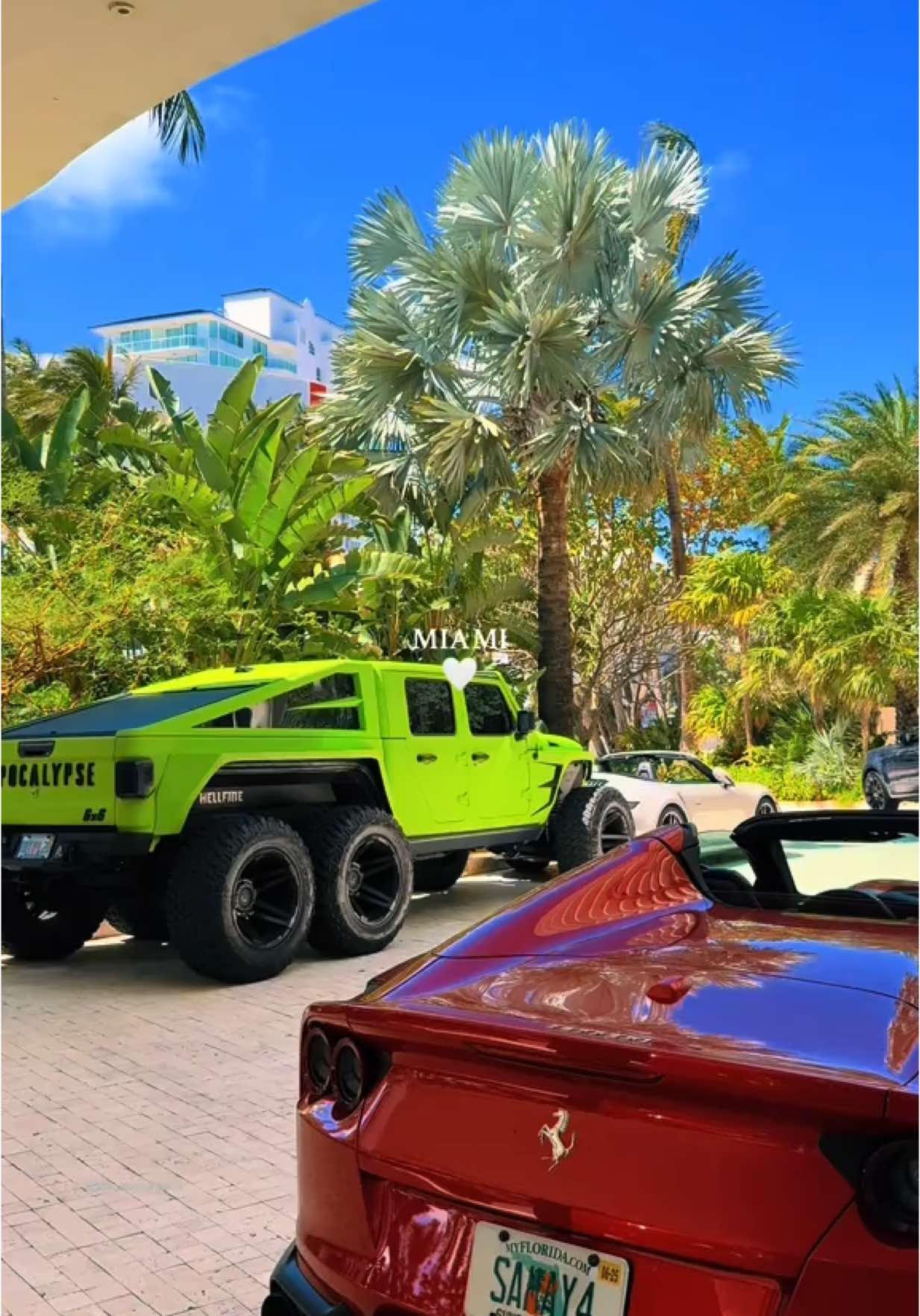 🌴☀️ 🌊  #miami #miamilife #miamivibes #miamiliving #miamilifestyle #miamicontentcreator #miamiflorida #miamibeach #miamibeachlife 