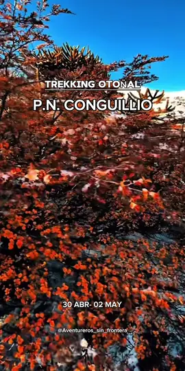 P.N CONGUILLIO / ARAUCANIA Les comparto la información: TREKKING OTOÑAL P.N. CONGUILLIO: La salida es el día jueves 30 de abril a las 20:00 hrs. P.m desde el metro Los Héroes y la llegada al mismo punto el día sabado alrededor de las 08:00 hrs. A.m (Se viaja de noche de Ida y de vuelta por lo que se duerme en el bus y no necesitas alojamiento). VALOR: $75.000 p.p. Promo: 2x140.000. Fecha disponible:  jueves 30 de abril al sabado 02 de Mayo #contenido #fyp #chile #trekking #Hiking #CapCut #paratii #viral_video #conguillio #Otoño #invierno #chilover #aventurerossinfrontera #trekinglover🏞 #trekkingchile ##conguillio #melipeuco #araucania #travelchile #sollipulli #chile #chiletravel #trekkingchile #paisajesdechile #lugaresquehablan #santiago #montañismo #trekking #parquesnacionales #otoño #chileestuyo #recorriendochile #vacaciones #araucaria #surdechile #pucon #turismo #otoño