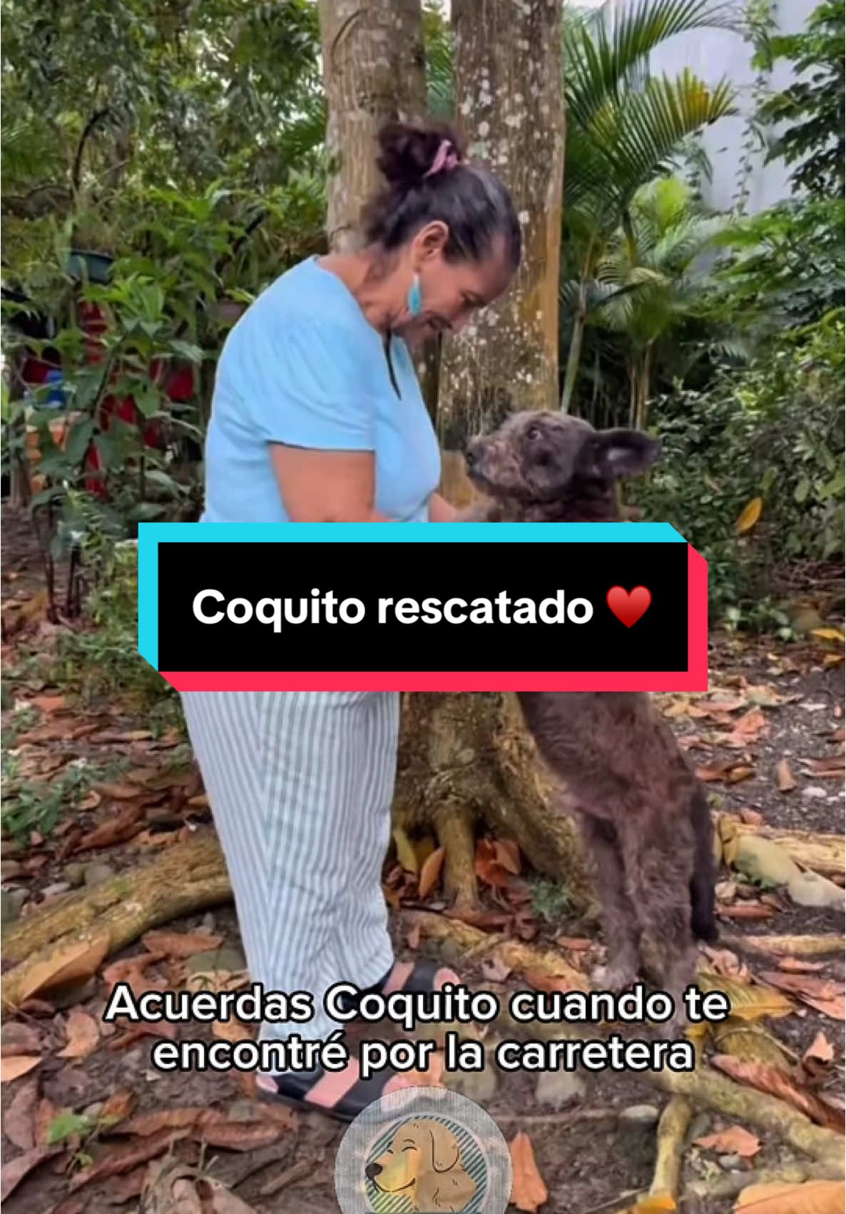 La preciosa historia del rescate de Coquito. Por más personas así ♥️ @valentin_zambrano_      #PerritoRescatado #DogRescue #RescueDog #AdoptaNoCompres #PerrosFelices #HistoriasQueInspiran #FinalFeliz #PerrosDeTikTok #Viral #AnimalLover #SegundasOportunidades #AntesYDespués #CambioDeVida #DeLaCalleAlCorazón #AmorAnimal #GraciasPorSalvarme #RescateAnimal #PerroAdoptado #HistoriasDePerros #PeluditosFelices #AdopciónResponsable #FYP #ParaTi #ParaTiPage 