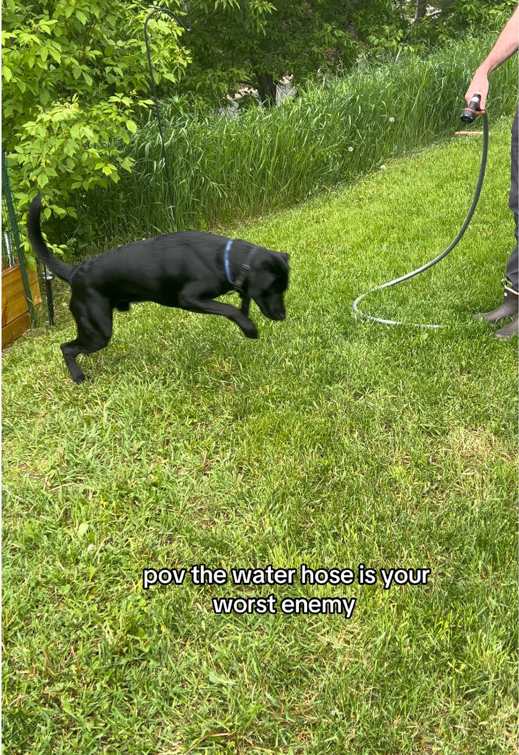 his fav game 