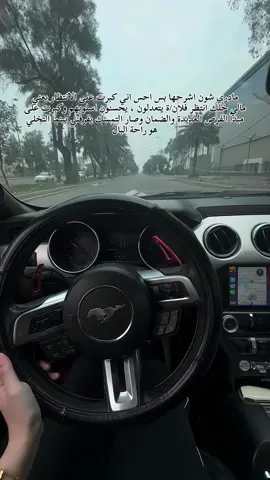 ‏#baghdad #fyp #بغداد #foryou #viral #explore #mustang #girlteam #viralvideo #موستنق #ford #موستنك #موستنك_العراق #CapCut #baghdad🇮🇶 #حنطور #ashur #اشور #iqcars  #موستنج #جامعة_اشور #baghdadiproduction #viraltiktok #explorepage #fyp #foryou #بغداد Support
