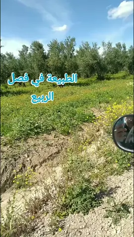 الطبيعة#سياحة 