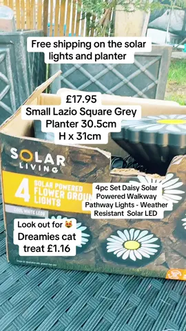 The brightness is really good and  this is just one day installing them out in the sun #quality #planter #tiktokshop #garden #solarlights #dreamiestreats #catsoftiktok #tabby #girlssupportgirls #fyp #virals #spring #sun 