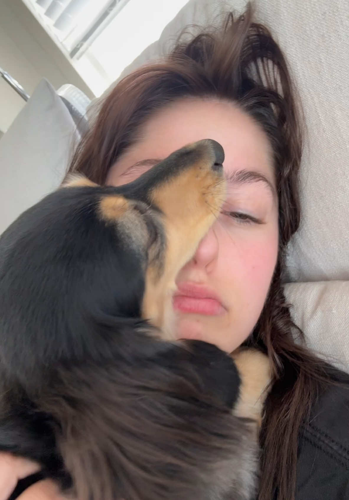 Just life with a dachshund #weinerdog #dachshundsoftiktok #minidachshund 