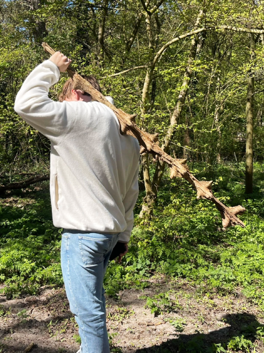 my first submission #sticknation #sticktok #nature #foryou #stick 
