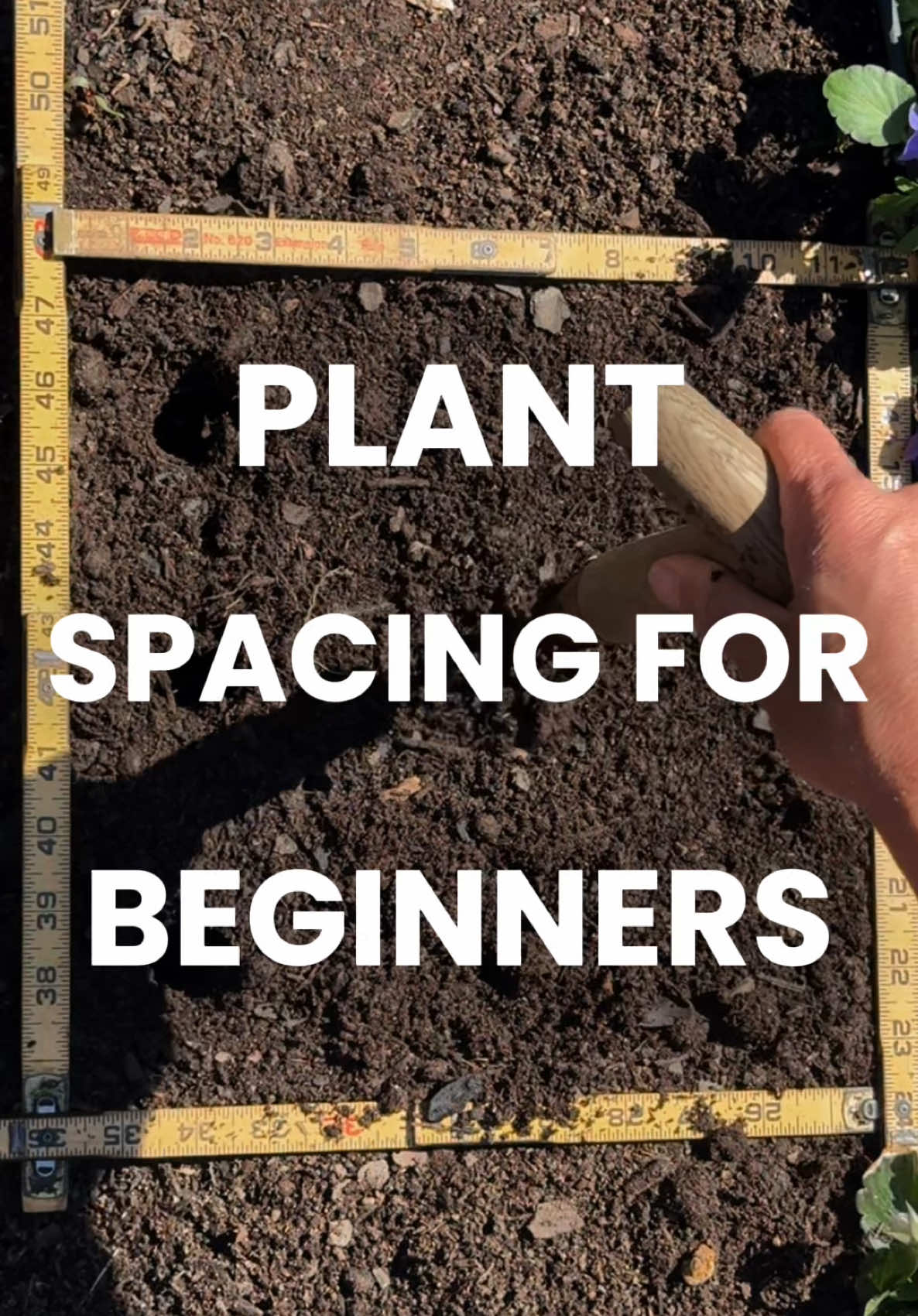 Go to my bio to get my planting plans for free and see how these all work together in one garden Leaves-only need a few square inches Roots-need a little more Fruit-about 1 square foot Once you see the garden this way, you can't unsee it Get my planting plans to help you get started planning out your own garden this season #garden #plants #planting #gardening #gardening101 #gardeninghacks  