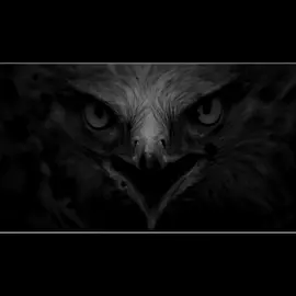 لن ترا النجوم الا في الضلام ولن ترا الرجال الا في المواقف#اغا_وحيد_مرادي🦅 #عقاب_ايران_زمين_داش_واحيد_مرادي #وحيد_مرادي_روحت_شاد_اغا_🇮🇶🦅 #المصمم_ابو_طوفان #صوفي_ابن_عباس #جيش_صوفي_ابن_عباس #تصميم_فيديوهات🎶🎤🎬 