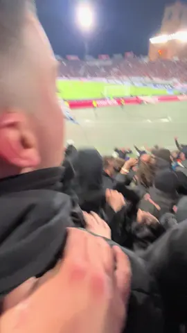 Chi non salta insieme a noi coseeè💙💙💙💙 #ultras #ultrasnapoli🇪🇪 #curvaa #curvab #fedayn #tifosinapoli #trasferta #forzanapolisempre #cori #napoli #bologna #bolognanapoli #bolognanapoli #neipertee #virale 