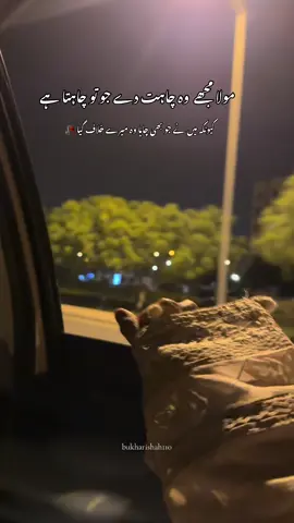Mene Hamesha Jo Bhe Chaha Wo Mere Khilaf Gya🥀🦋 #moula #yaali 