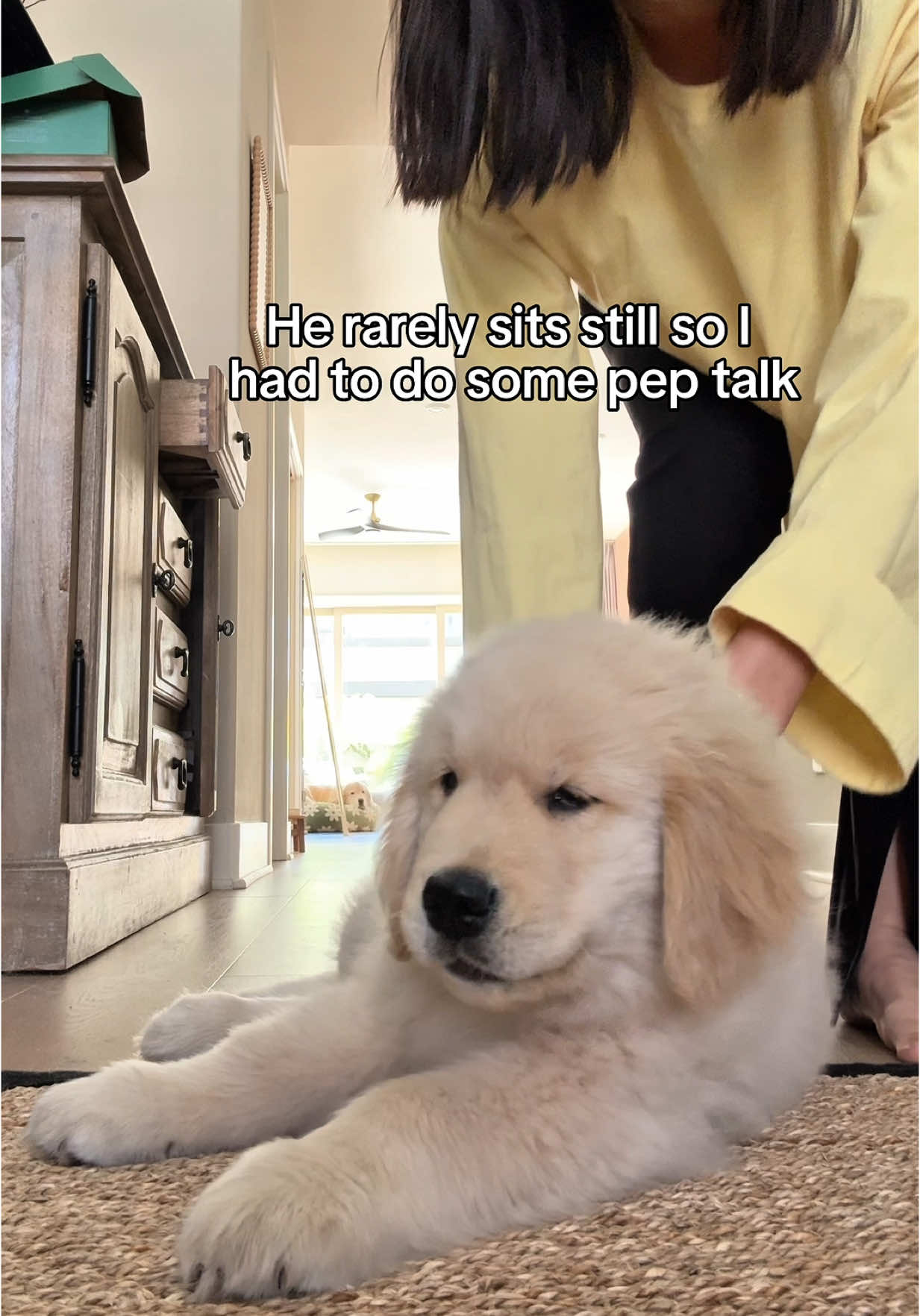 You just got kiss attacked 💋😘#watchmypuppy #goldenretriever #sassypuppy #dogmom #asmr
