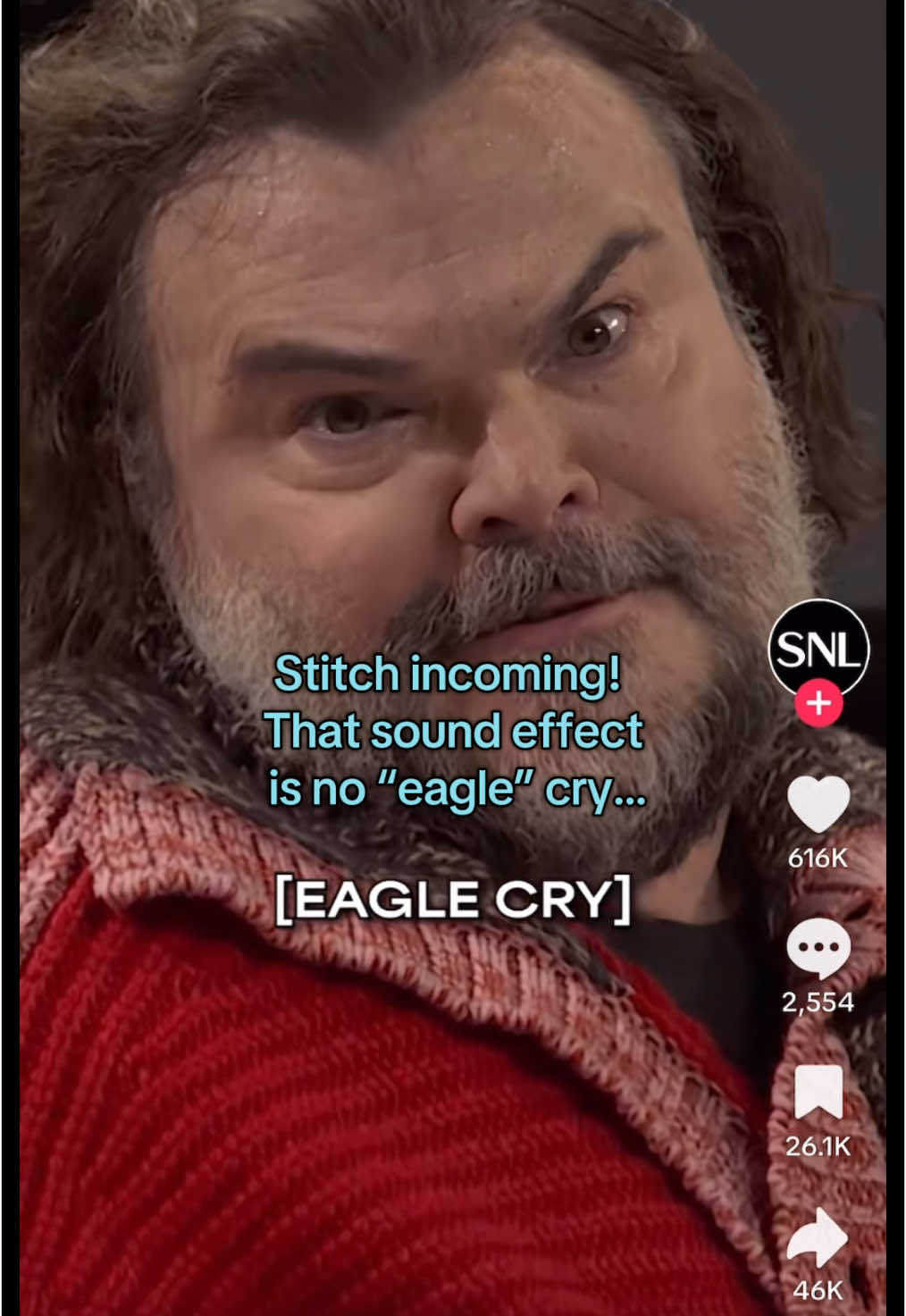 @Saturday Night Live - SNL  Umm, actually ☝️ That’s no eagle cry, it’s a red-tailed hawk! 🦅🚫 But Jack Black bodied that #STEM #MinuteEarth #MissionUnstoppableTV #SNL #eagle #redtailedhawk 